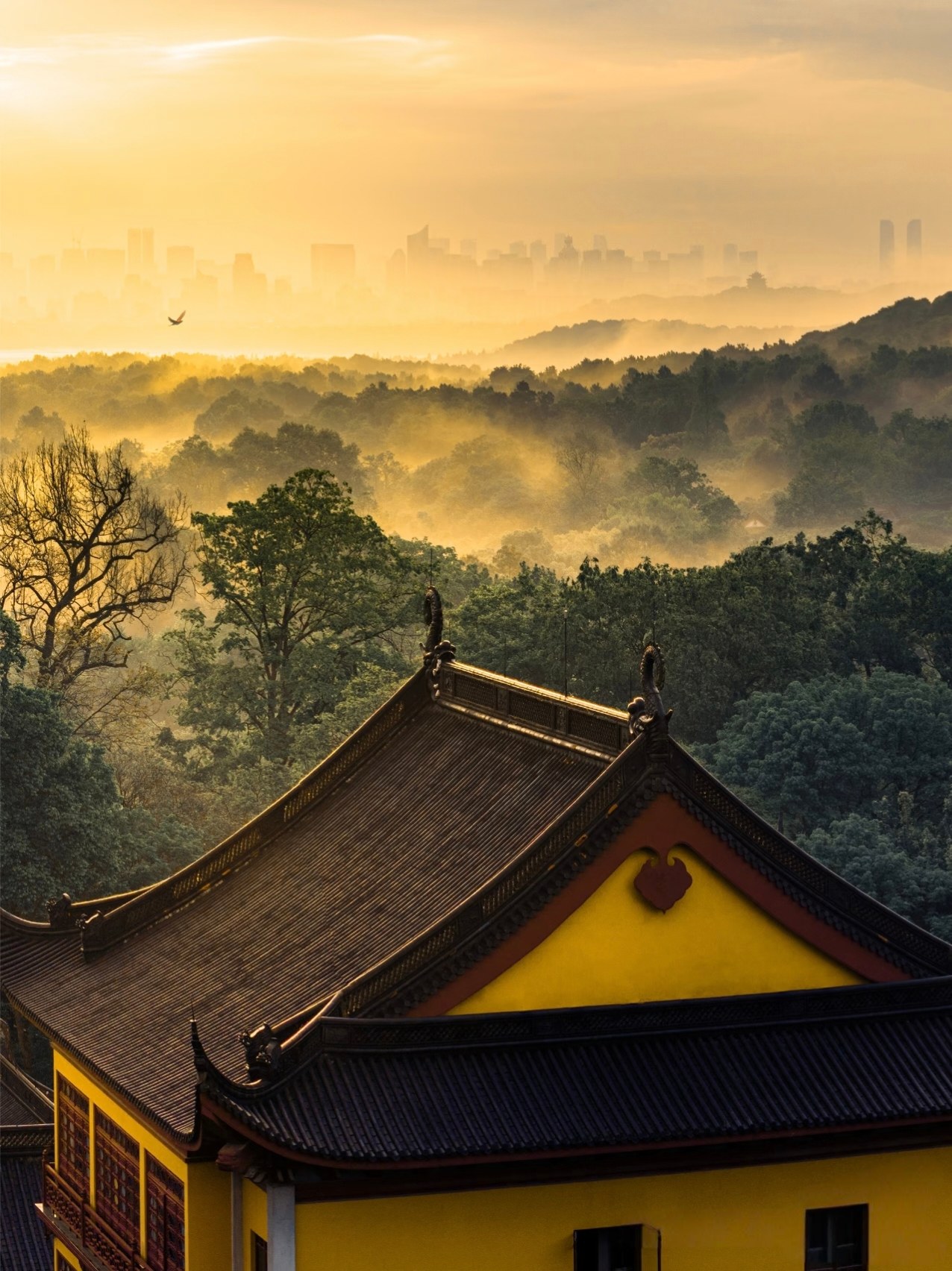 Lingyin Temple �� main hall exterior nestled in forested hills