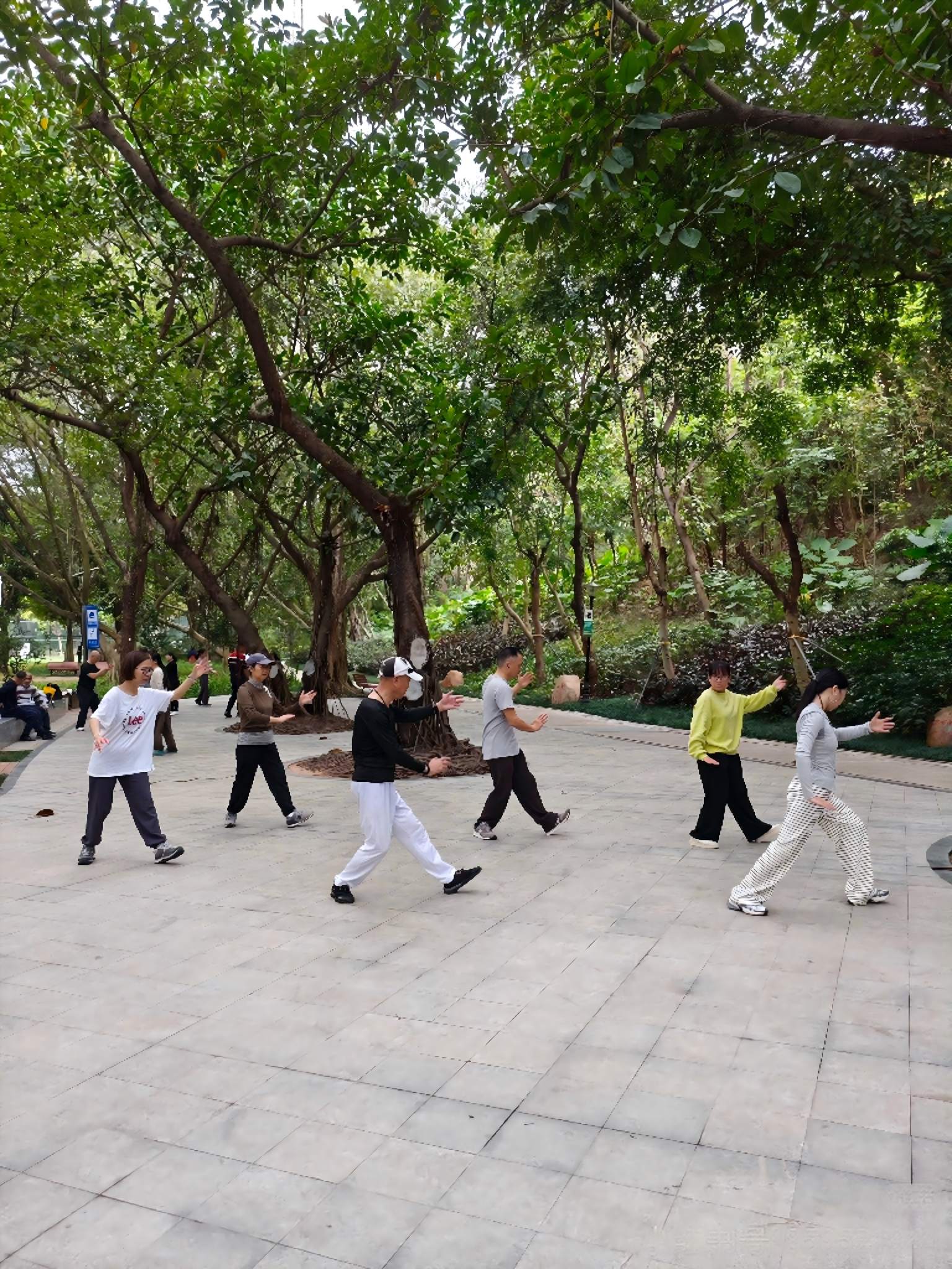 Morning exercise in a Chinese city park — tai chi and group dancing at dawn