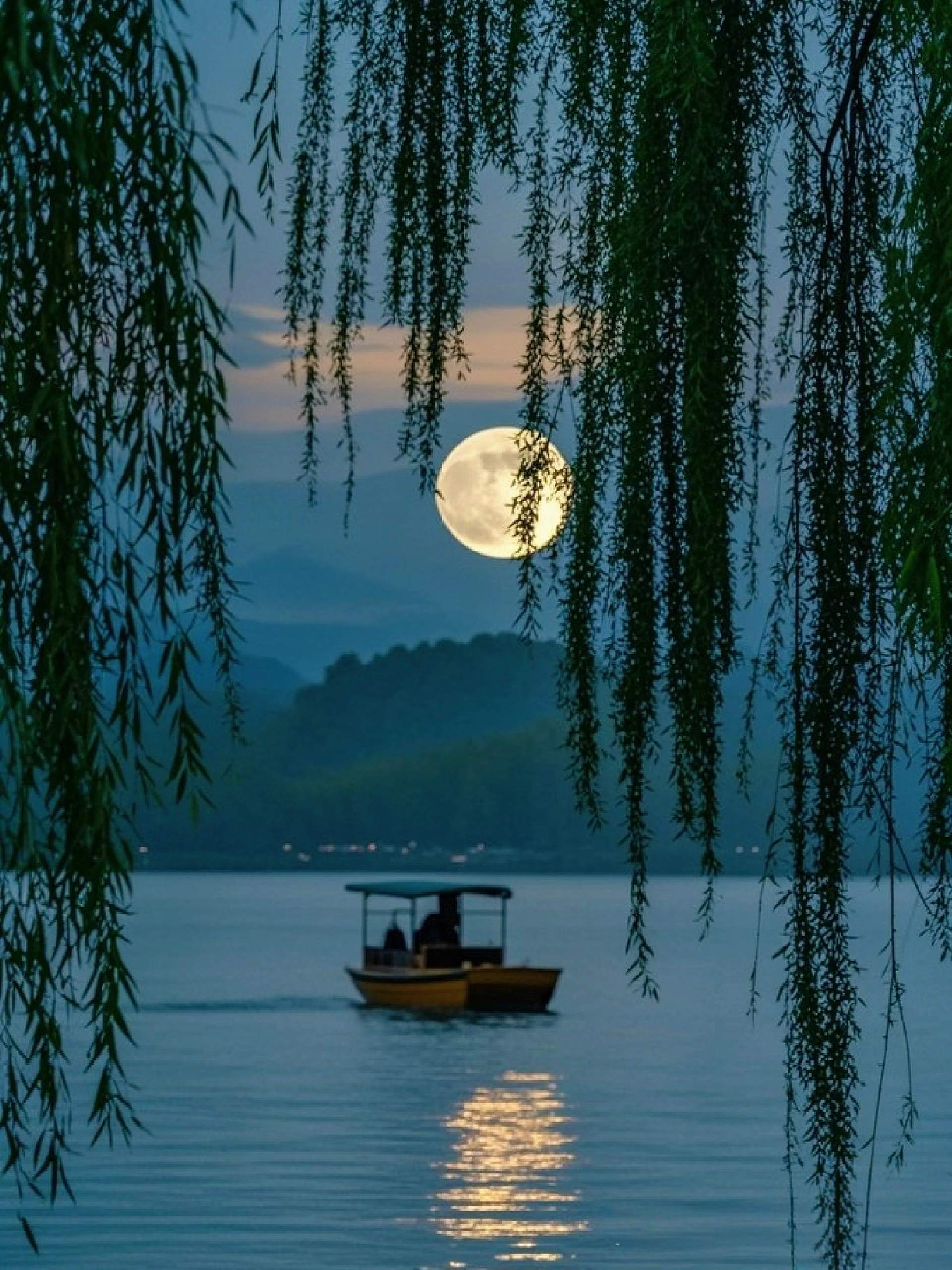 Su Causeway under moonlight, a bright moon over West Lake at night