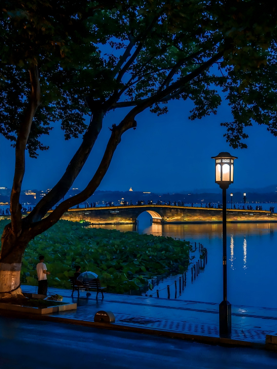 Beishan Road along the northern shore of West Lake — tree-lined, historic