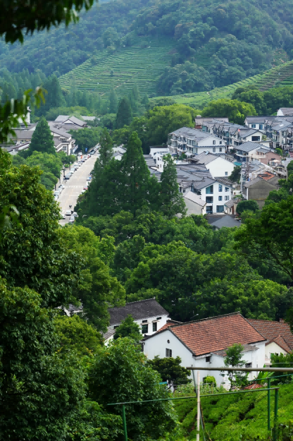 Meijiawu tea village — terraced tea fields and family-run restaurants